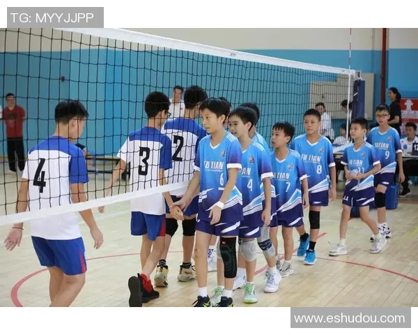 深圳排球队在排球意识排行榜中荣登第四名展现强大团队协作能力