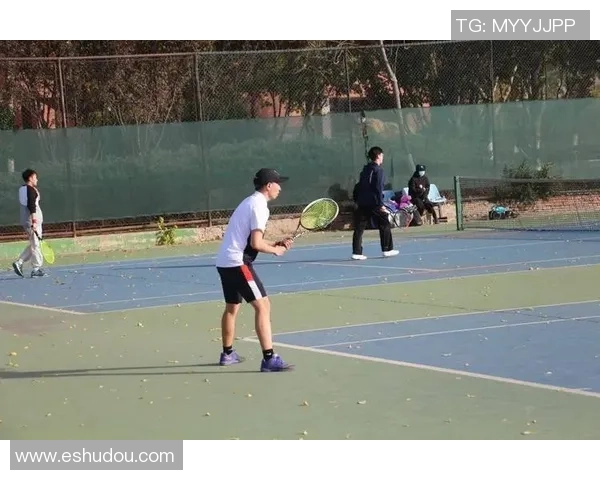 北京网球队在全国网球战术排行榜中荣获第六名的辉煌成就分析