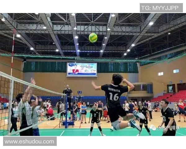 武汉排球队的阵地战揭秘：深度解析排球战术与团队协作技巧